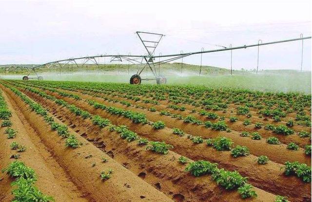 植医堂推进绿色防控打造一站式农作物病虫害防治服务方案
